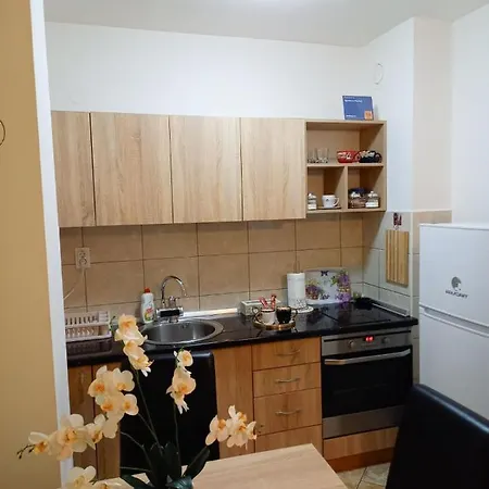 Apartman Central Apartment *